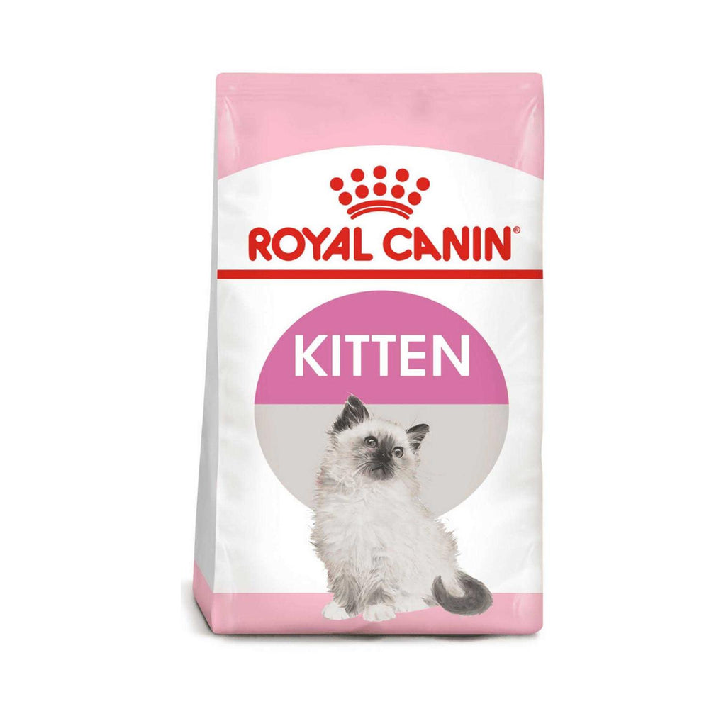 Kitten Dry Cat Food S1311