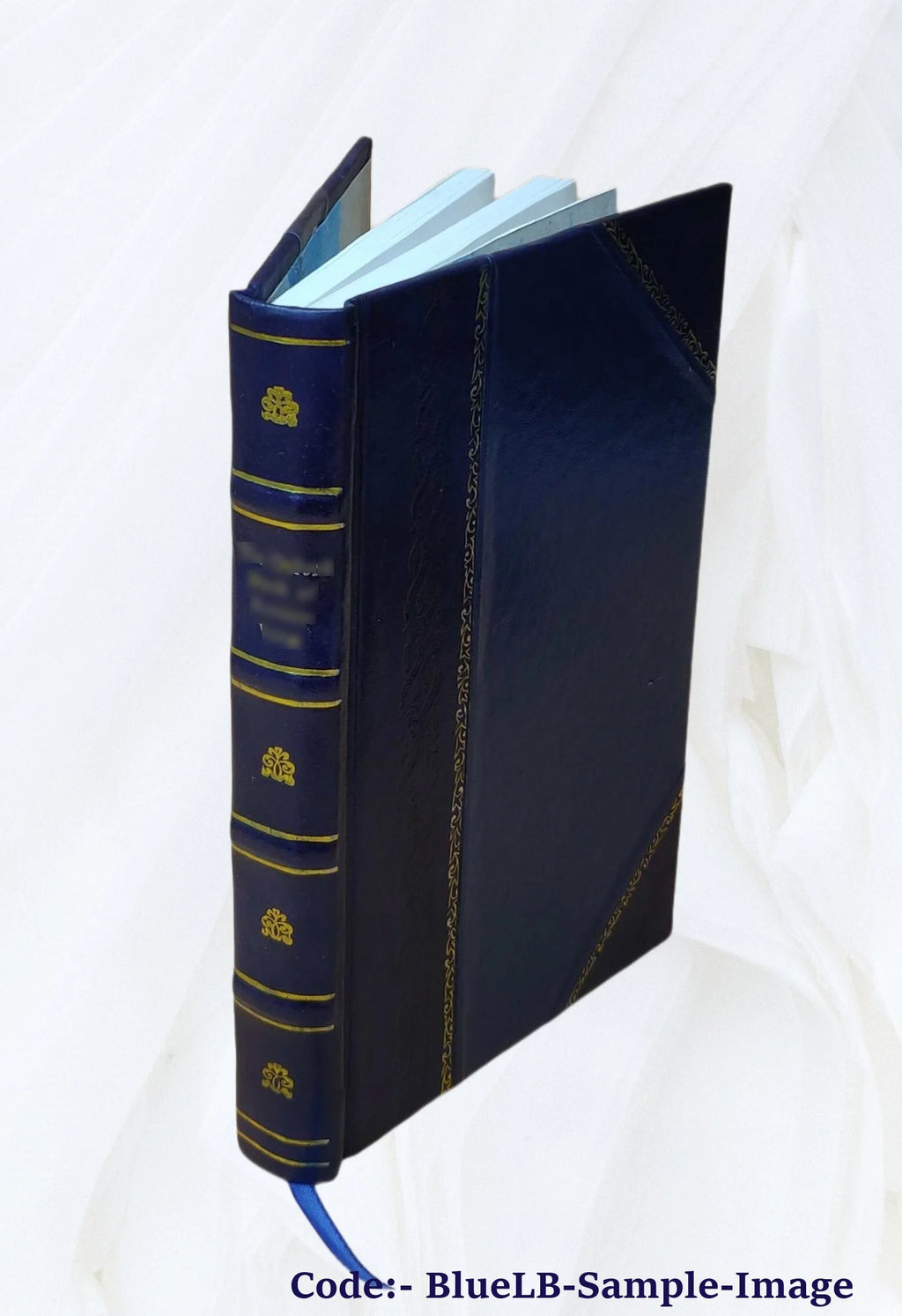 Leather Bound Book U222296
