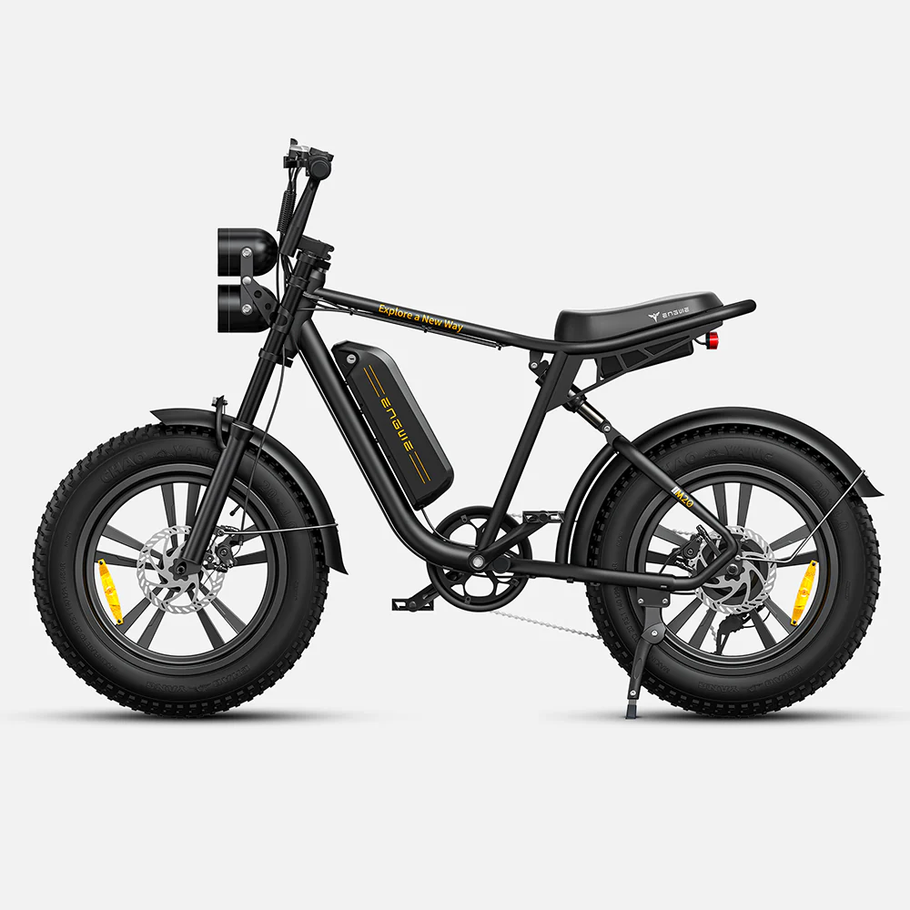 750W 20 Fatbike E-Mountainbike B778