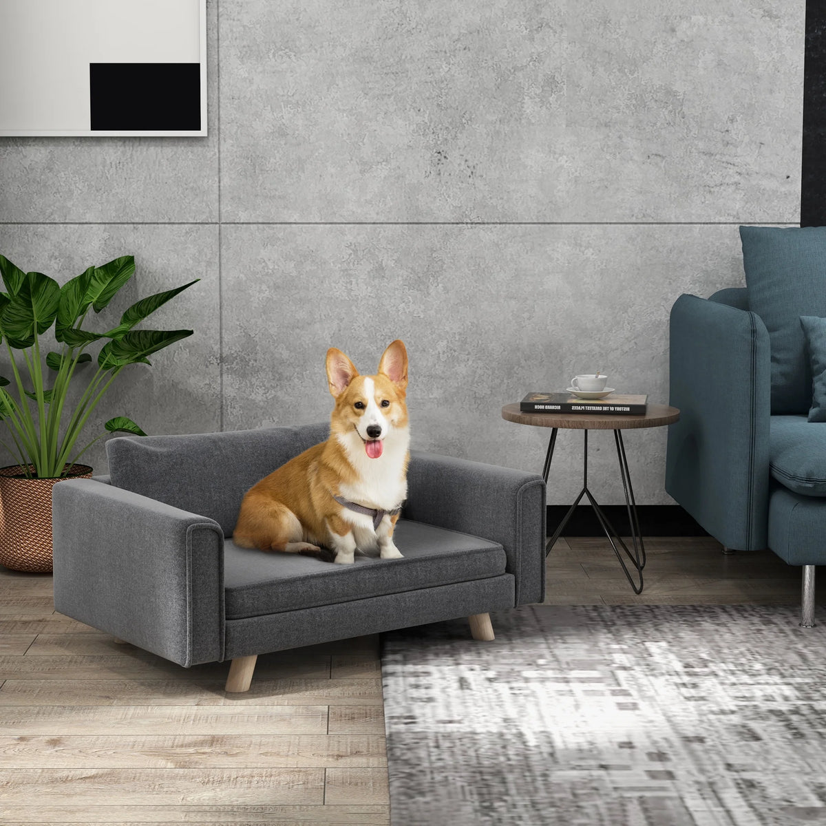Gray Elevated Pet Sofa X9034