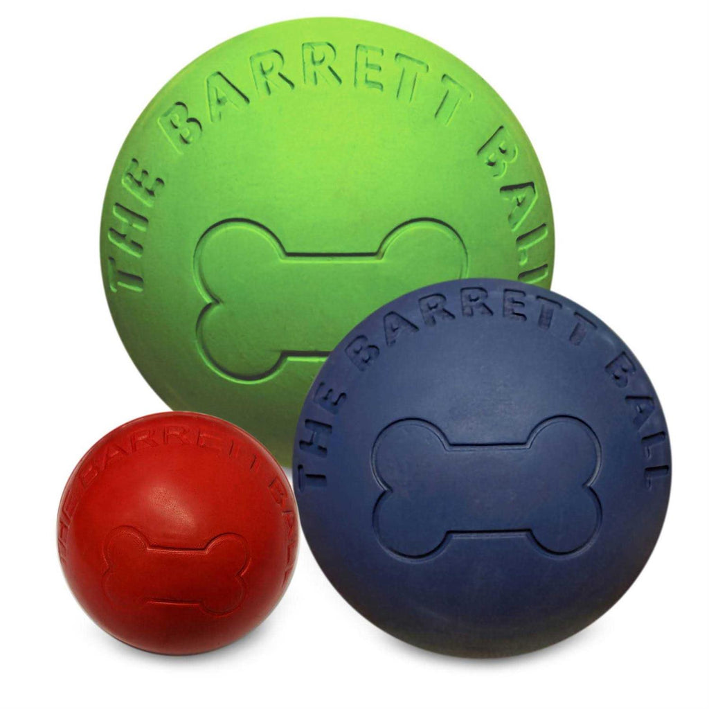 Ball Dog Toy T9689
