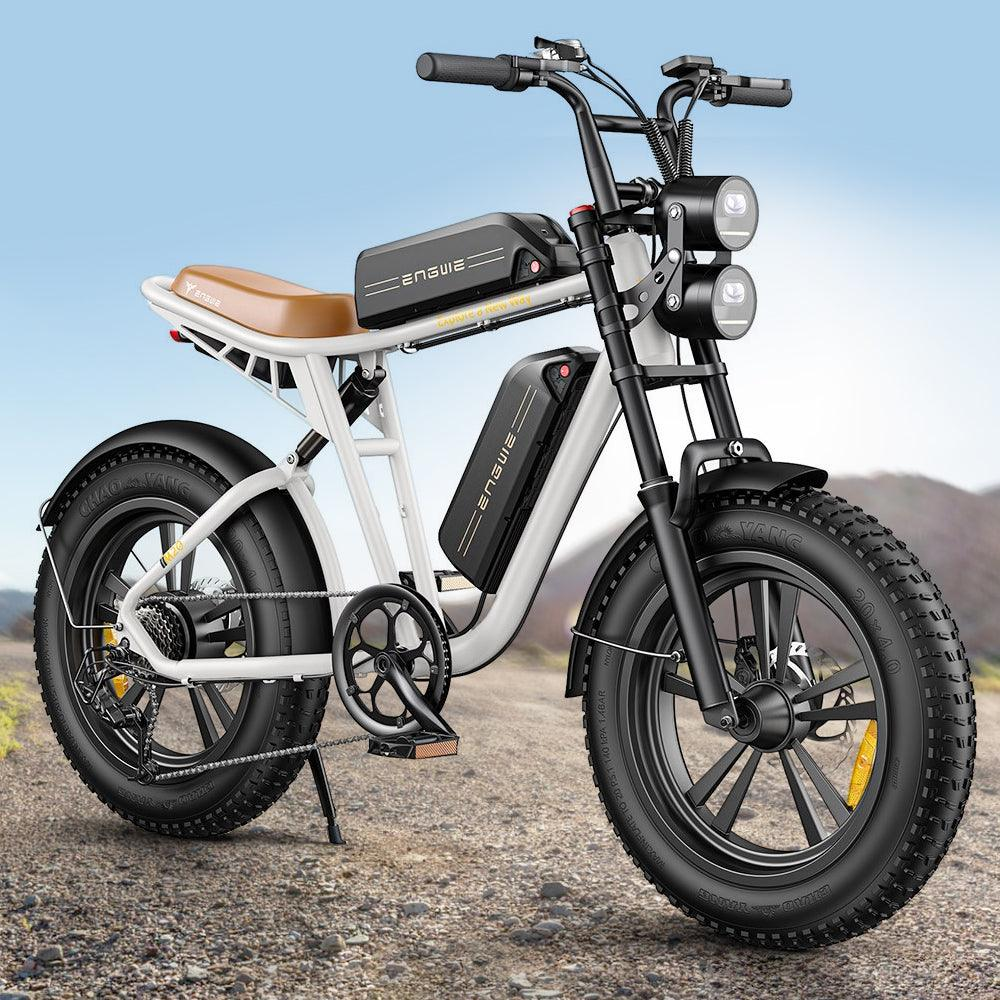 750W 20 Fatbike E-Mountainbike B778