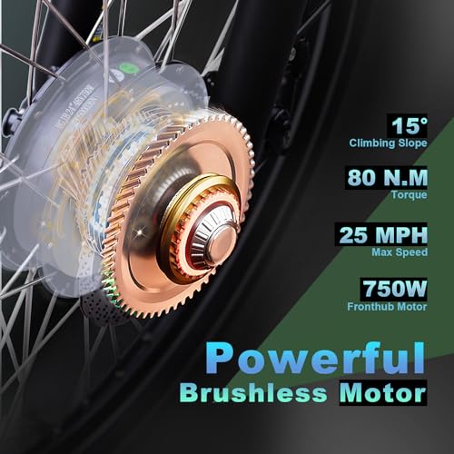 750W Motor 48V 16AH Battery Full Suspension Electric Tricycle L3013