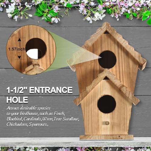 2 Hole Wooden Outdoor Bird House N467404