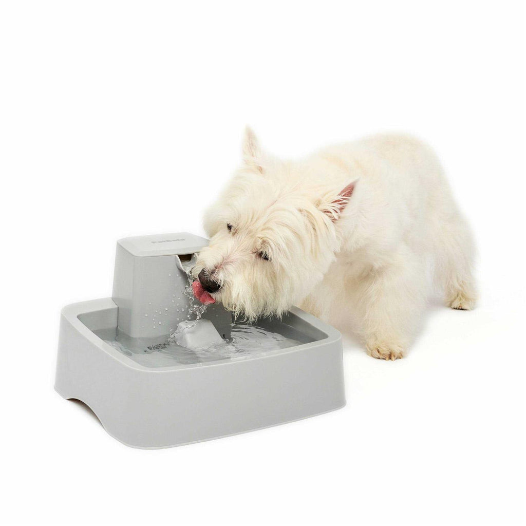 1 Gallon Pet Fountain D7071
