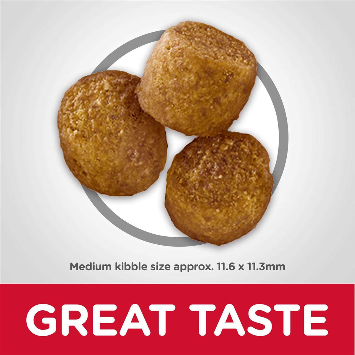Adult Chicken Dog Food V304