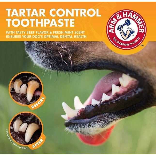 Tartar Control Kit for Dogs B7031