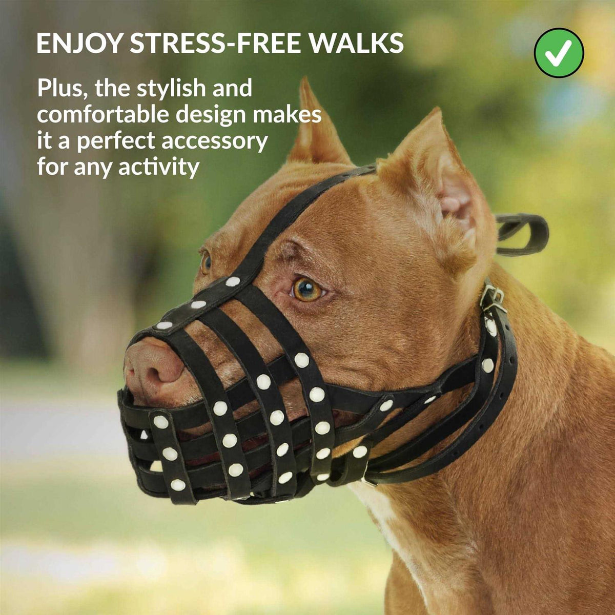 Dog Muzzle Genuine Leather F38270