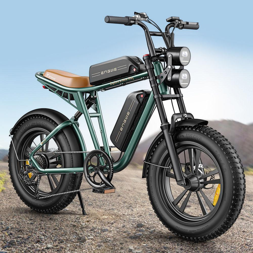 750W 20 Fatbike E-Mountainbike B778