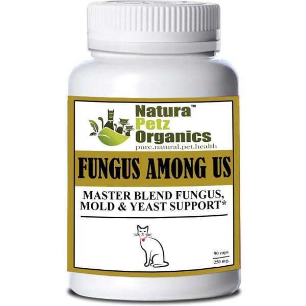 Plant Anti Viral Anti Bacterial For Dogs And Cats W135933