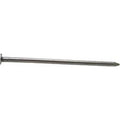 Galvanized Common Nail, 50 lbs A882