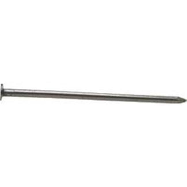 Galvanized Common Nail, 50 lbs A882
