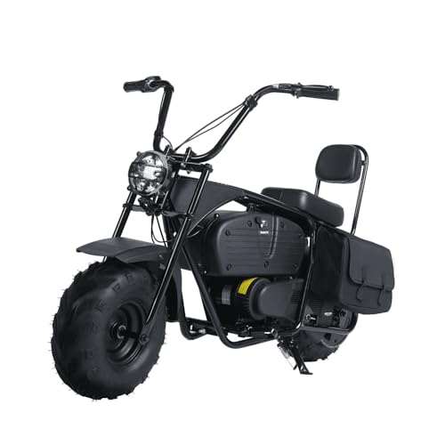 36V 1000W Electric Mini Dirt Bike R658