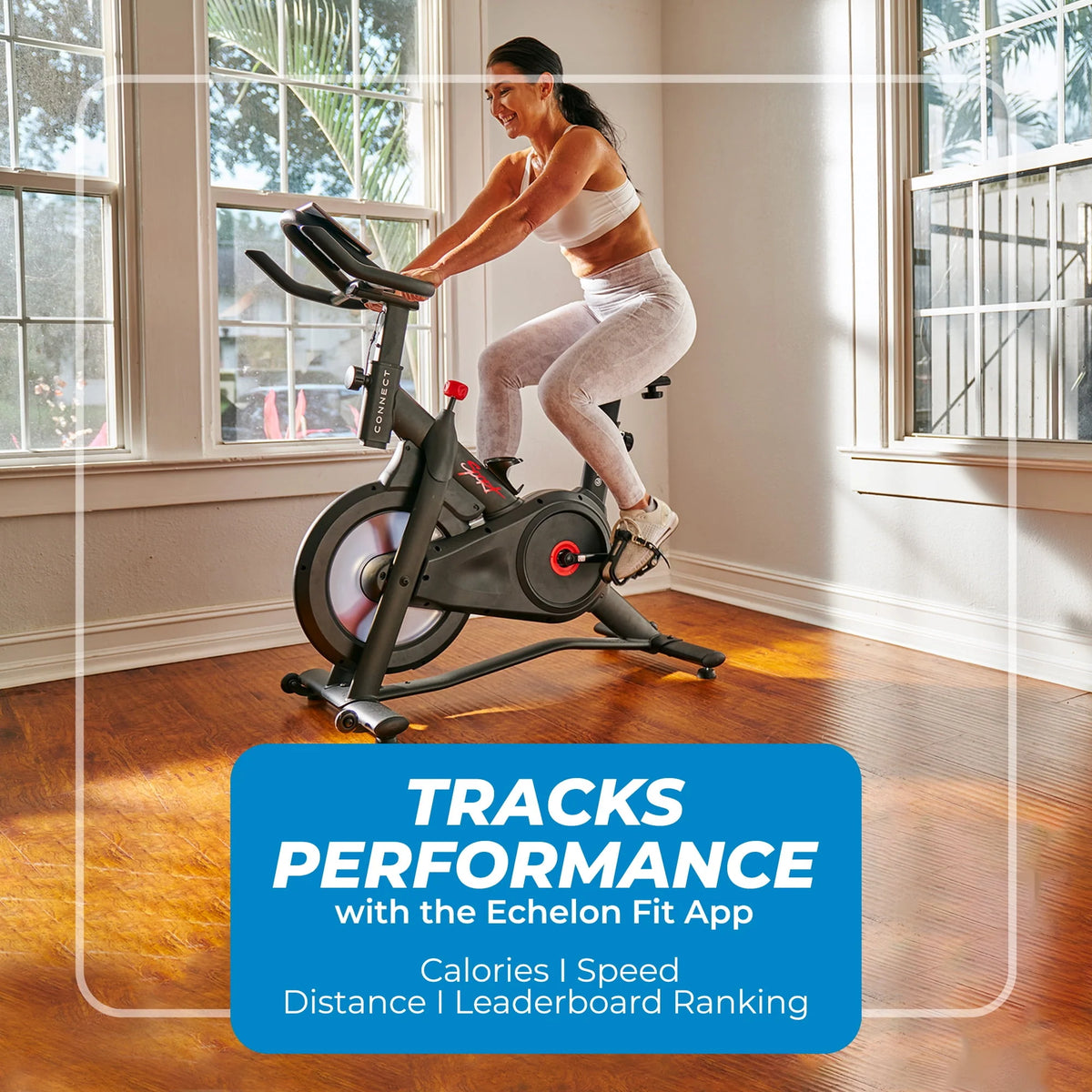 Indoor Cycling Exercise Bike G110498