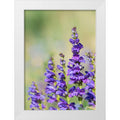 White Modern Wood Framed Art Print Z732841