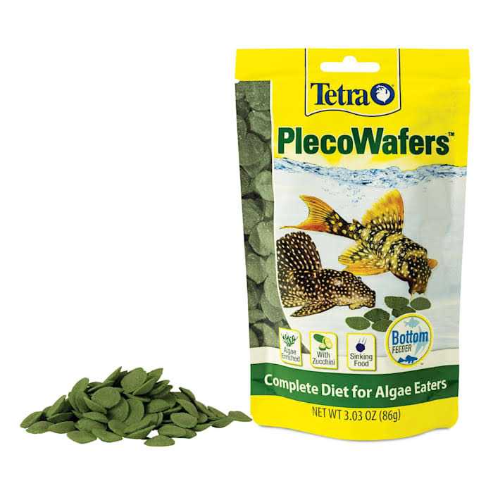 Algae Eaters C269