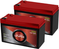 12V 10Ah Lithium LiFePO4 Deep Cycle Rechargeable Battery 2 Pack M9691