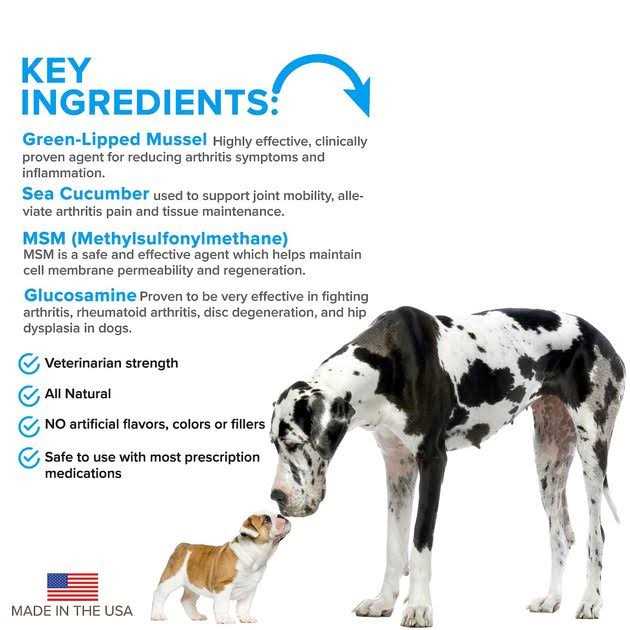 Advanced Hip + Joint Complex with MSM and Green-Lipped Mussel for Dogs B559630