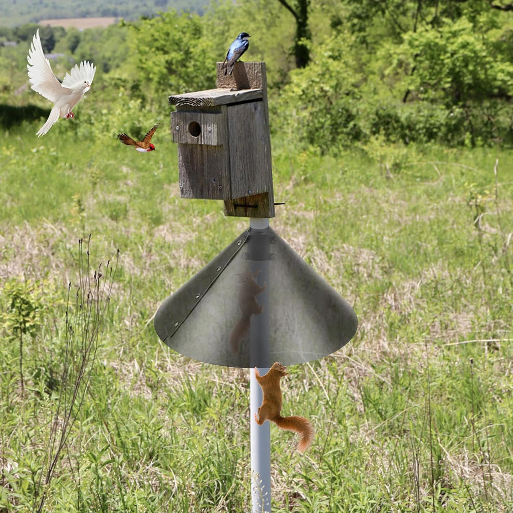 2 Pack Squirrel Baffle Accessory for Bird Feeder Pole W41765