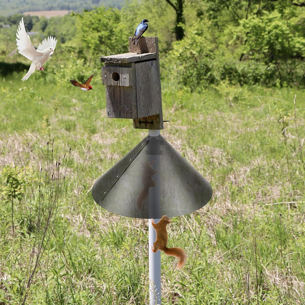 2 Pack Squirrel Baffle Accessory for Bird Feeder Pole W41765