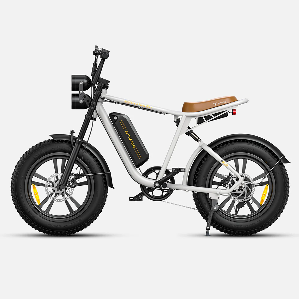 750W 20 Fatbike E-Mountainbike B778