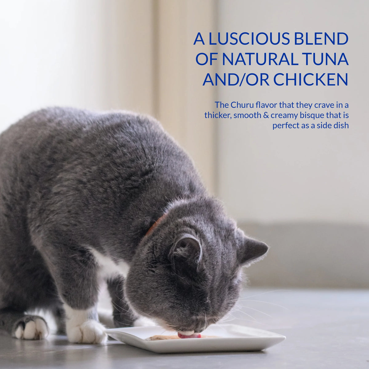 Chicken Cat Treat, 1.4 oz, 12 Servings W248269