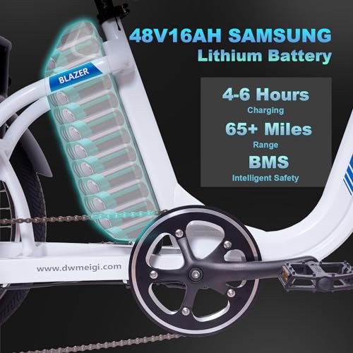 750W Motor 48V 16AH Battery Full Suspension Electric Tricycle L3013