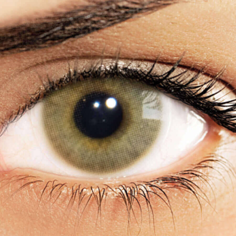 Hazel Yearly Colored Contact Lenses D4445