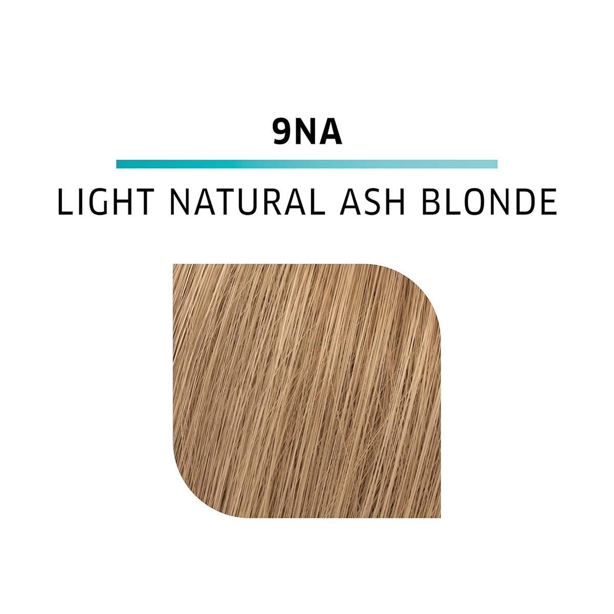 9NA Light Natural Ash Blonde Demi Permanent Hair Color with 10 Vol. Developer P94459