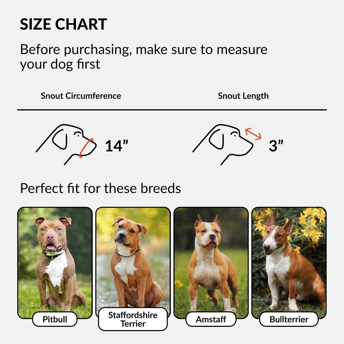 Dog Muzzle Genuine Leather F38270