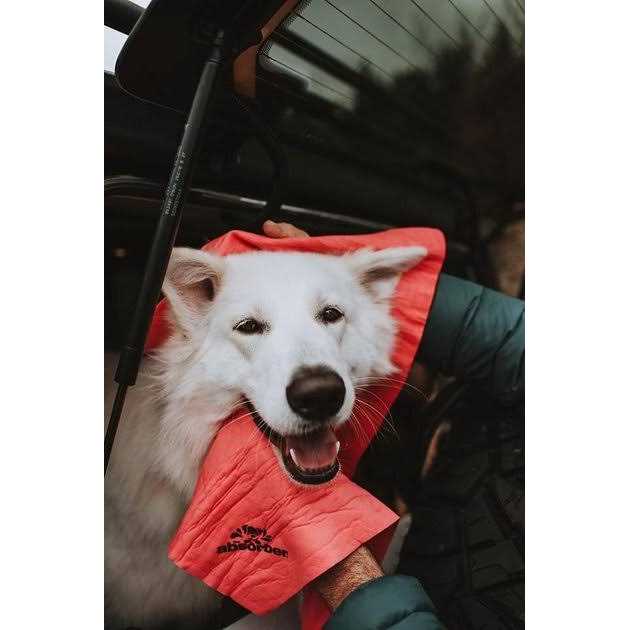Dog Lover’s Towel X8981