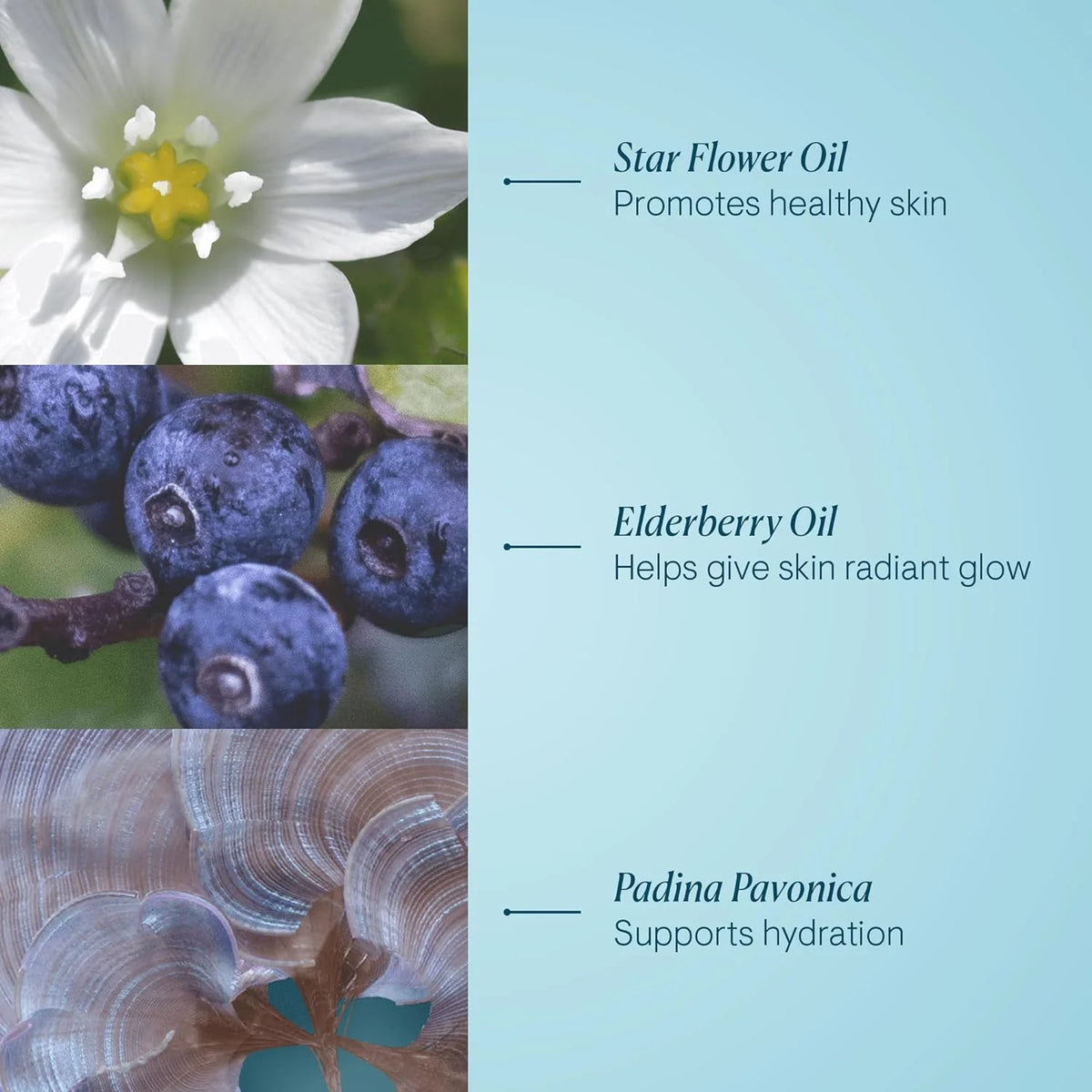 Collagen Cleansing Balm V905