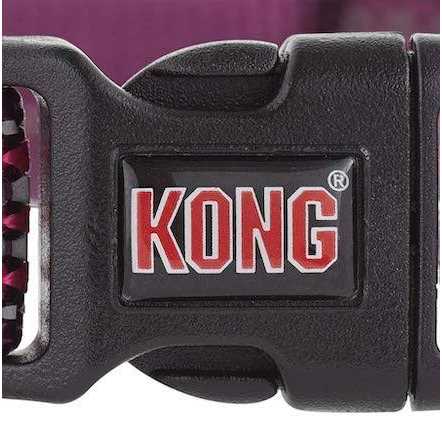 Neoprene Padded Dog Collar L872