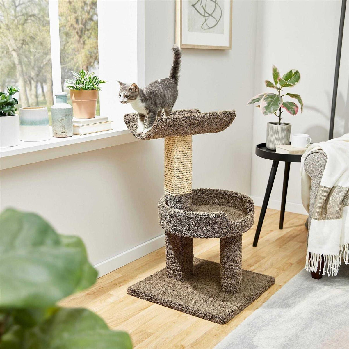 32-in Real Carpet Wooden Cat Tree M447