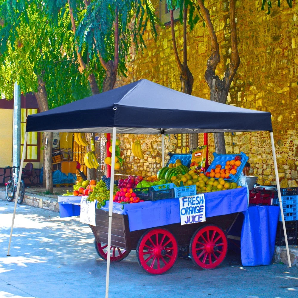 10ft x 10ft Pop Up Gazebo Canopy Tent Blue M160