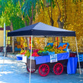 10ft x 10ft Pop Up Gazebo Canopy Tent Blue M160