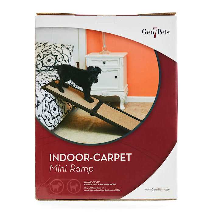 Indoor Carpet Mini Ramp I175