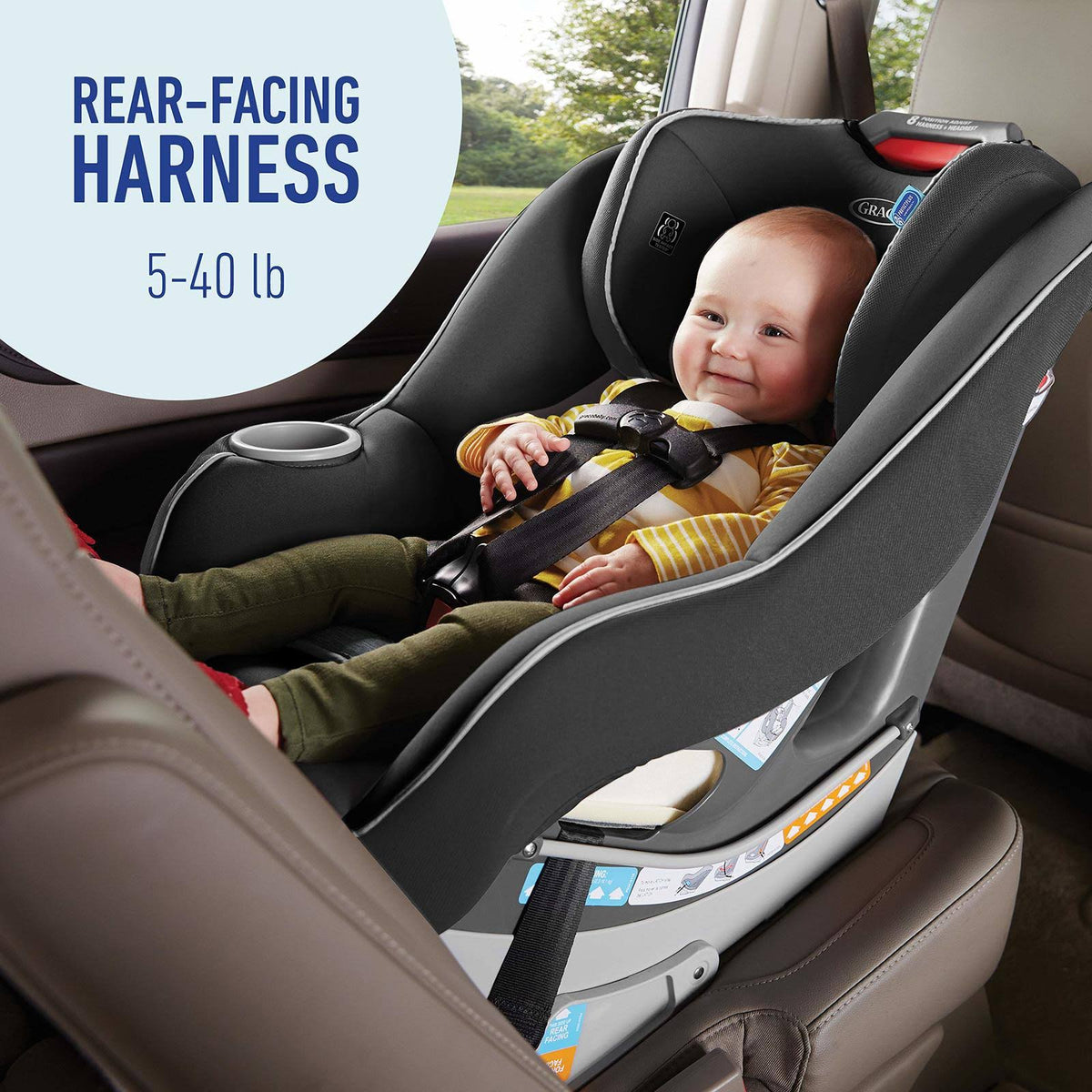 Convertible Car Seat F4464