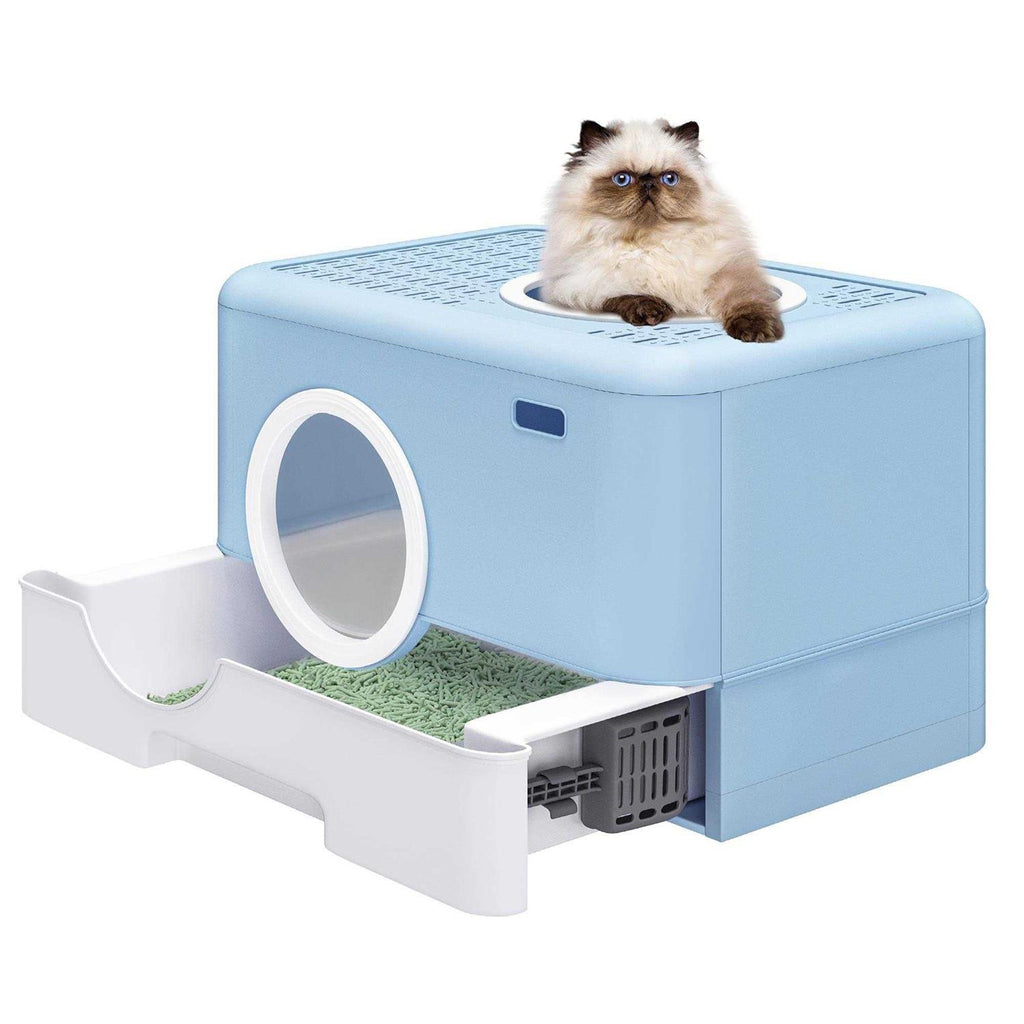 Large Enclosed Cat Litter Box with Lid C970934