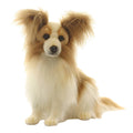 Plush Papillion Dog K617
