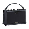 Acoustic Guitar Amp O731