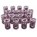 Set of 16 Dual Valve Spring A471