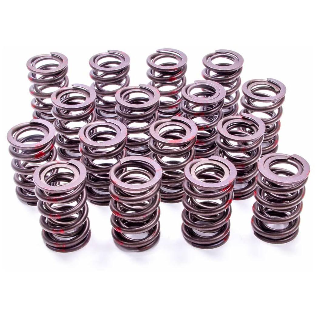 Set of 16 Dual Valve Spring A471