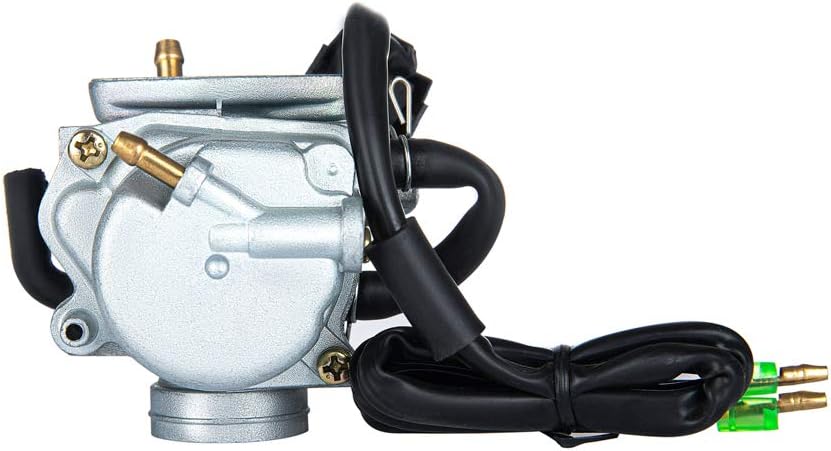 Carburetor Pack of 2 Y700463