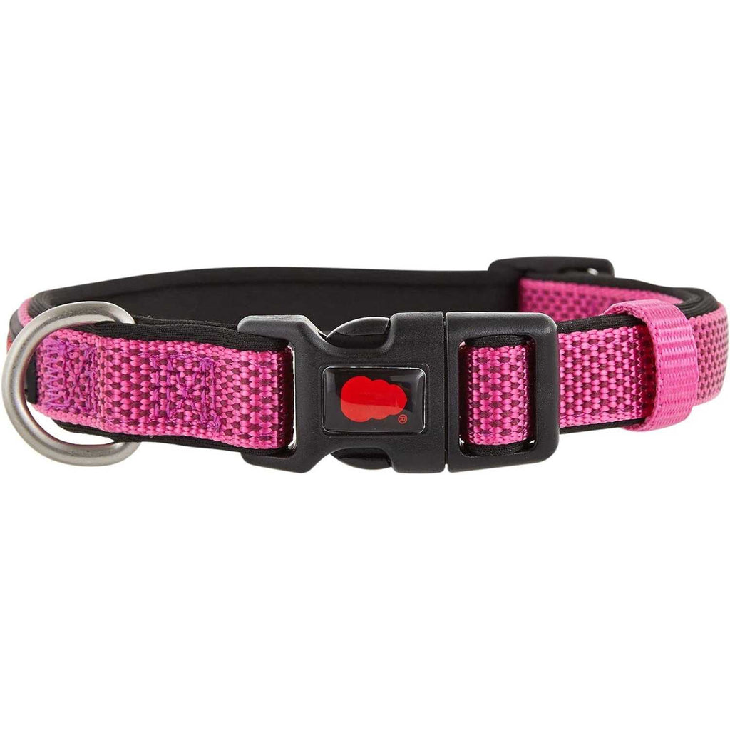 Neoprene Padded Dog Collar L872
