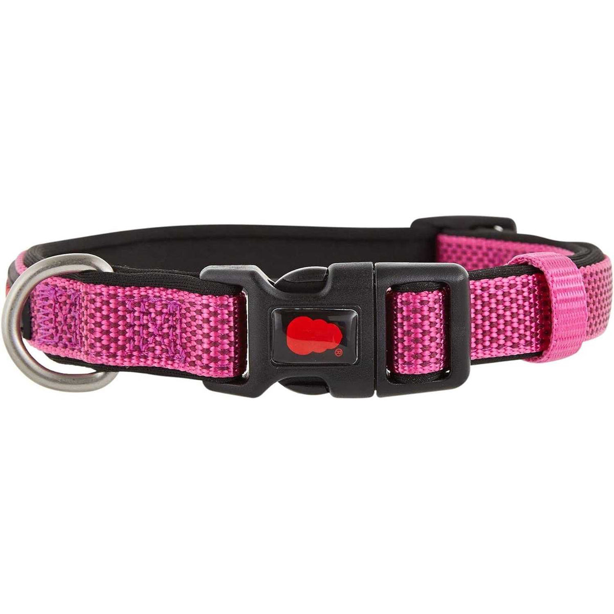 Neoprene Padded Dog Collar L872