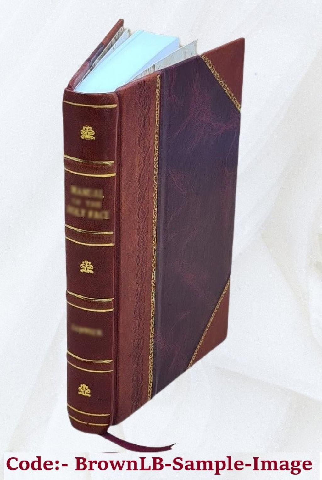 Leather Bound Book U222296