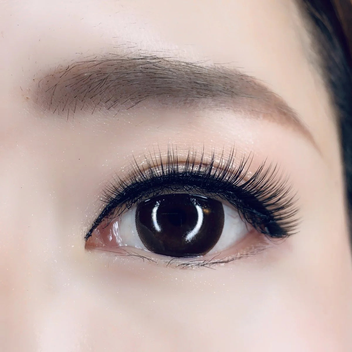 Faux Mink Lashes L7334