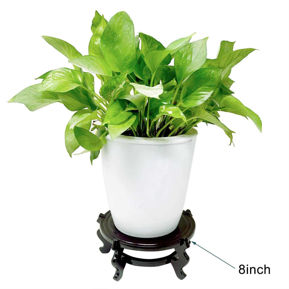 Wooden Fishbowl Planter Display Stand J887145