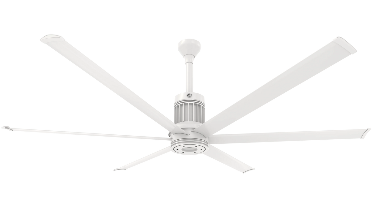 White Ceiling Fan T3006